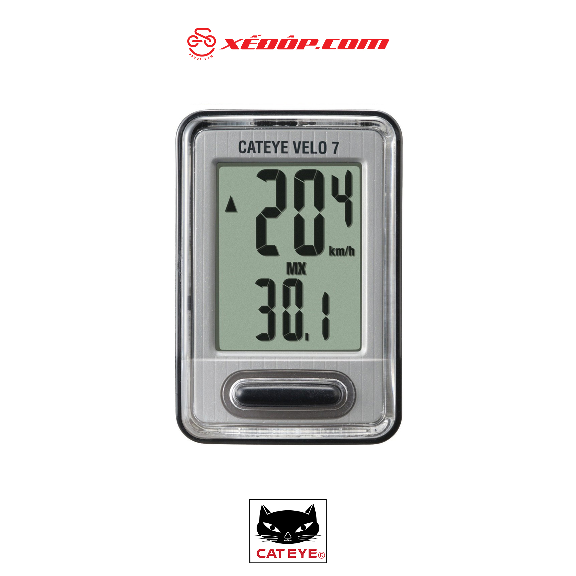 1665050461_dong-ho-cat-eye-velo-7