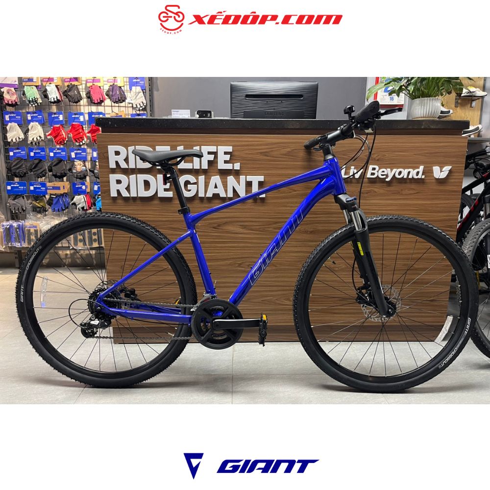 GIANT-2024-ROAM-3-D