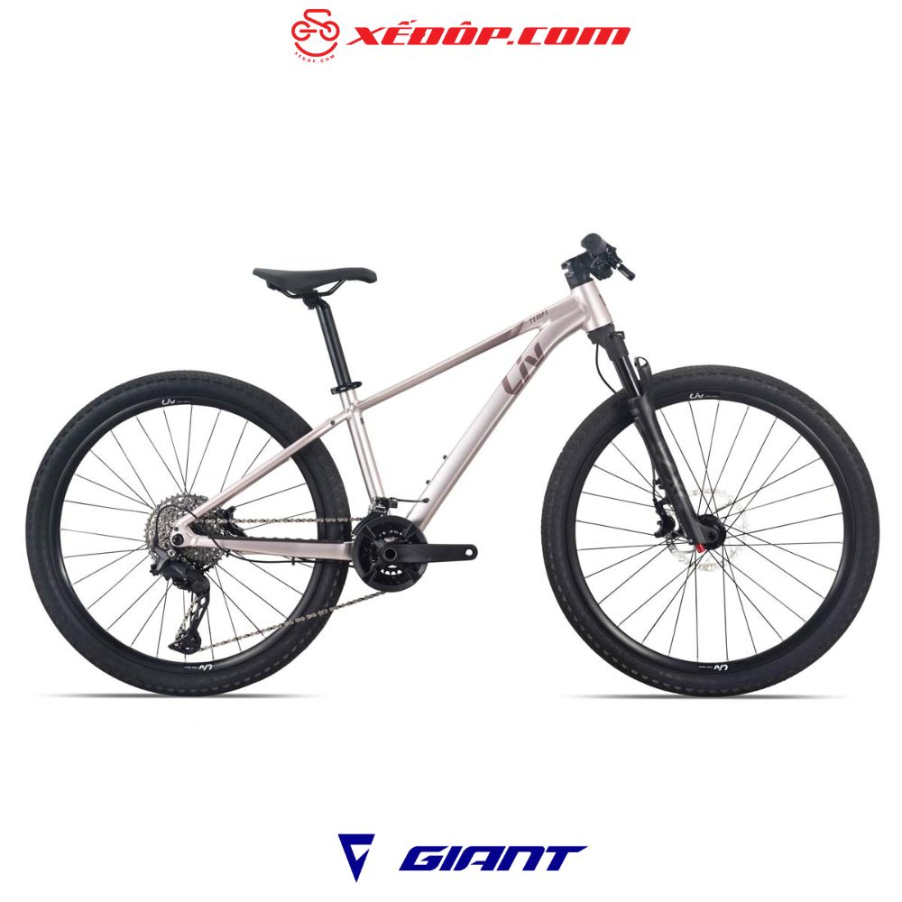 LIV-2026-TEMPT-1-1200-900-vang